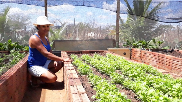 Quintais agroecológicos garantem segurança alimentar e renda para mais de 500 famílias do Semiárido baiano