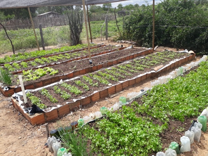 Governo do Estado garante estrutura para que o campo não pare de produzir