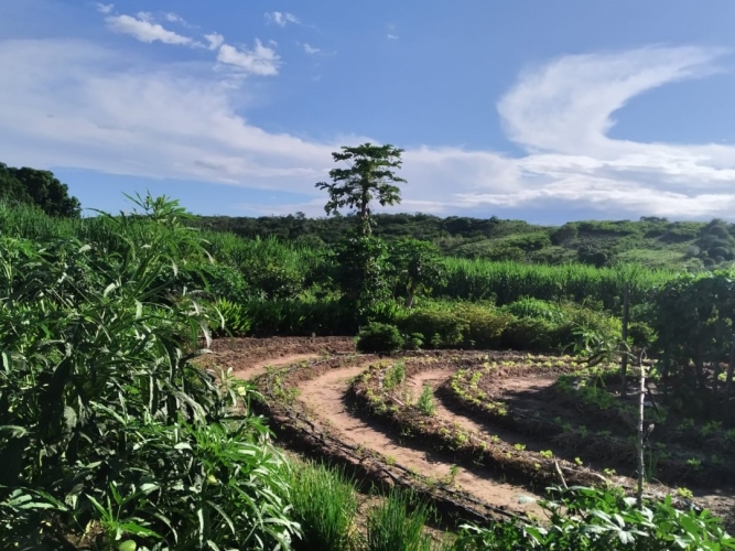 Produção agroecológica promove geração de renda e mudança nos hábitos alimentares de comunidade rural