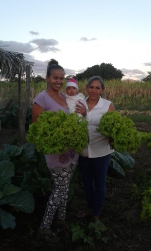 Produção agroecológica promove geração de renda e mudança nos hábitos alimentares de comunidade rural