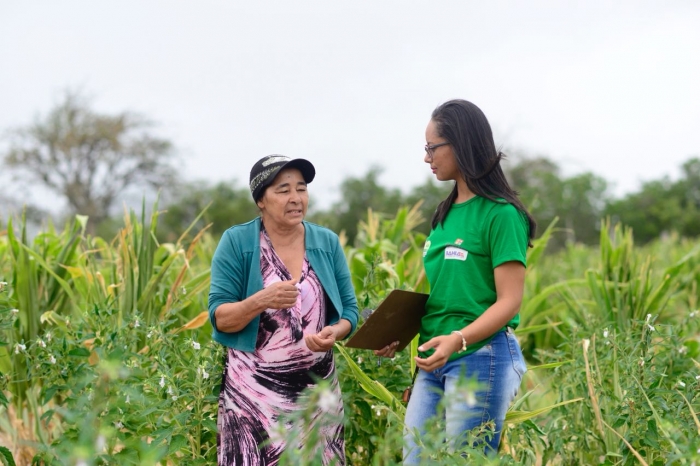 Bahiater planeja ações com prestadoras de Ater do estado da Bahia