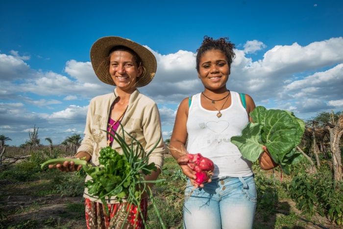 Senhor do Bonfim e região contarão com empório da agricultura familiar