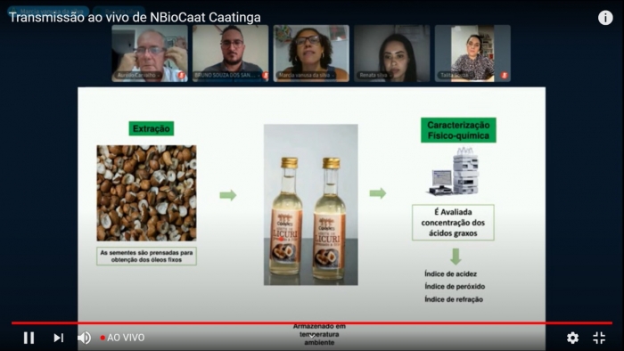 Workshop online apresenta resultados positivos do uso do óleo de licuri para a saúde