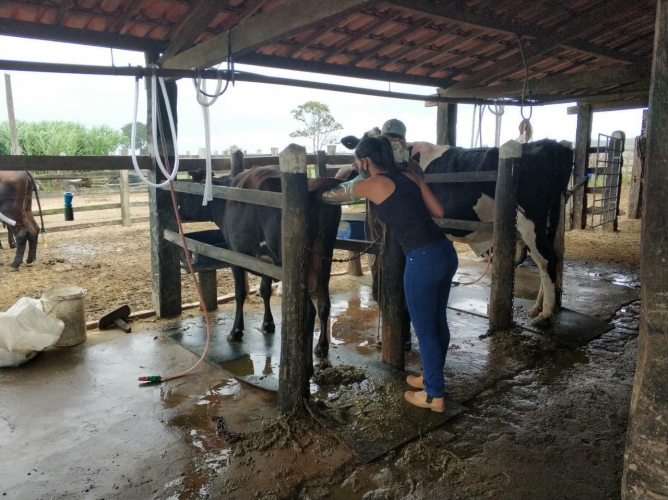 Estágio voluntário gera troca de conhecimentos e aprendizados no Vale do Jiquiriçá