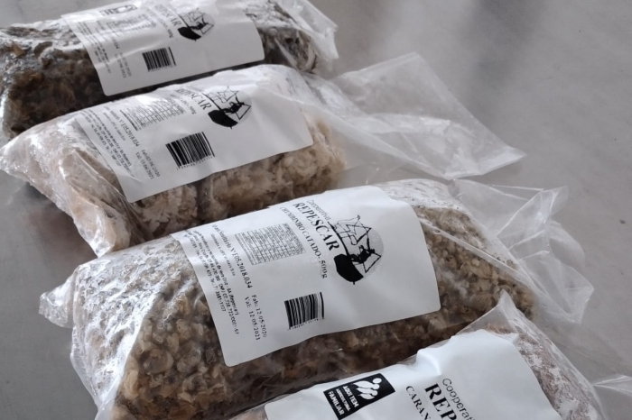 Pescados da agricultura familiar aderem ao delivery em Salvador