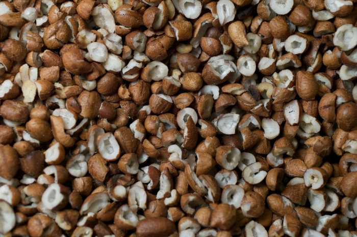 Licuri se consolida na Bahia com qualificação e valorização da produção