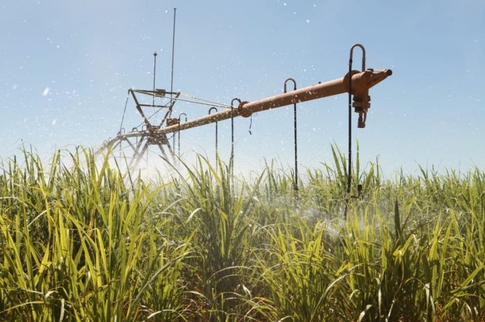 Polo Agroindustrial no Médio São Francisco promove integração entre Governo do Estado, agricultores e MDR