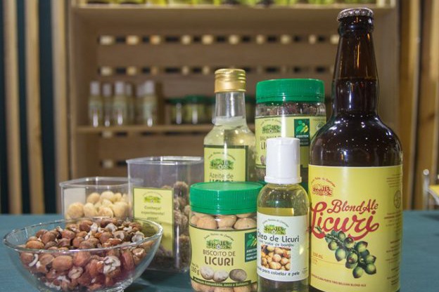 Licuri se consolida na Bahia com qualificação e valorização da produção