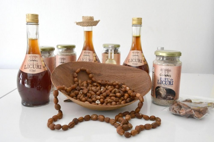 Licuri se consolida na Bahia com qualificação e valorização da produção