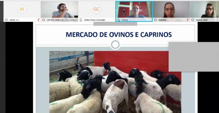 Seminário virtual aborda possibilidades e oportunidades para mercado de produtos da agricultura familiar