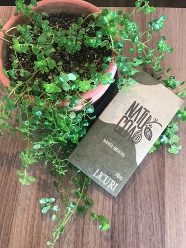 Agricultura familiar da Bahia lança novos produtos no mercado com cacau e licuri