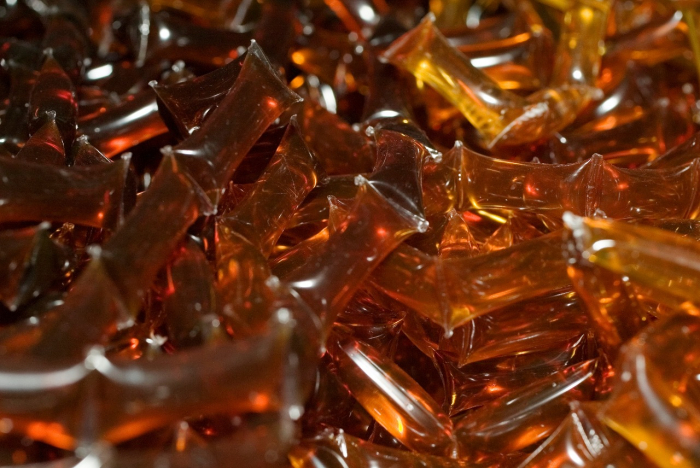 Evento virtual de Apicultura e Meliponicultura celebra 15 anos de cooperativa baiana