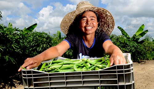Inscrições para o Programa Garantia-Safra foram prorrogadas