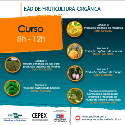 Agricultura familiar da Bahia conta com curso on-line de Fruticultura Orgânica
