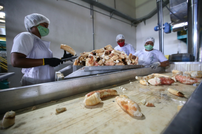 Unidade de Beneficiamento de Mandioca, Banana e Milho de Presidente Tancredo Neves é entregue requalificada