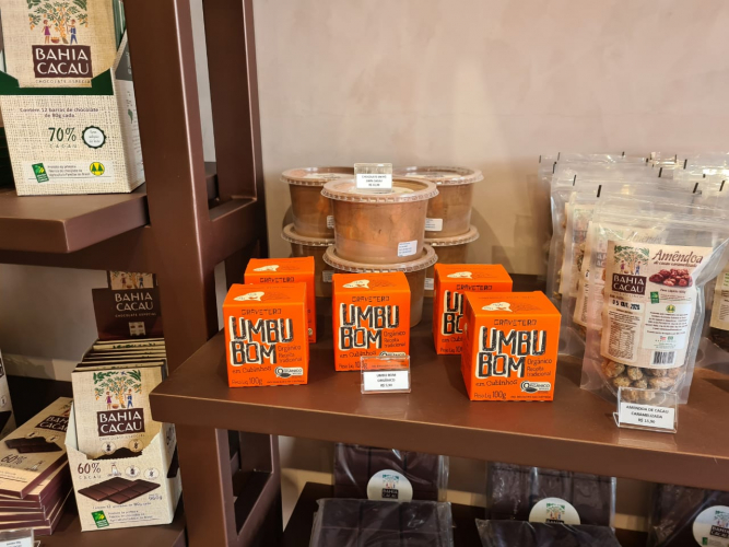 Feira de Santana recebe franquia experimental de chocolates finos produzidos pela agricultura familiar