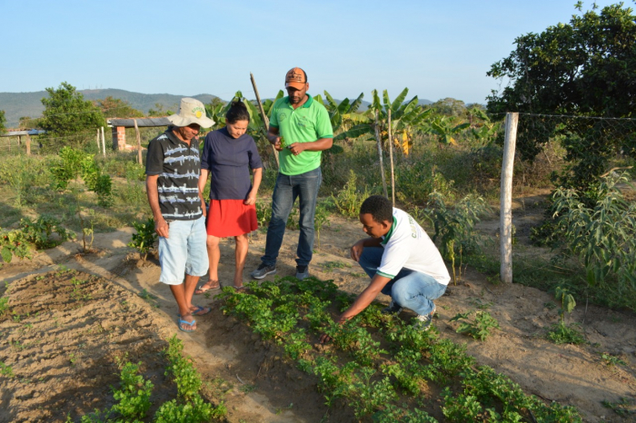 Ações de assistência técnica e extensão rural avançam na Bahia
