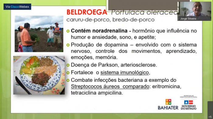 Ações de assistência técnica e extensão rural avançam na Bahia