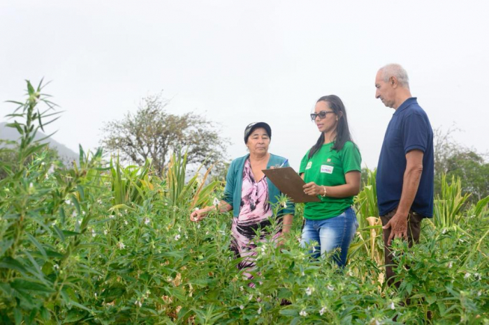Ações de assistência técnica e extensão rural avançam na Bahia