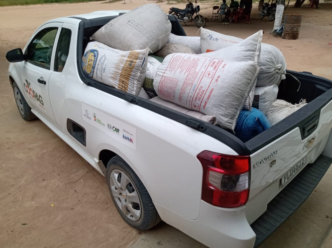 Parceria entre empreendimentos da agricultura familiar  incrementa renda e valoriza a produção do licuri  