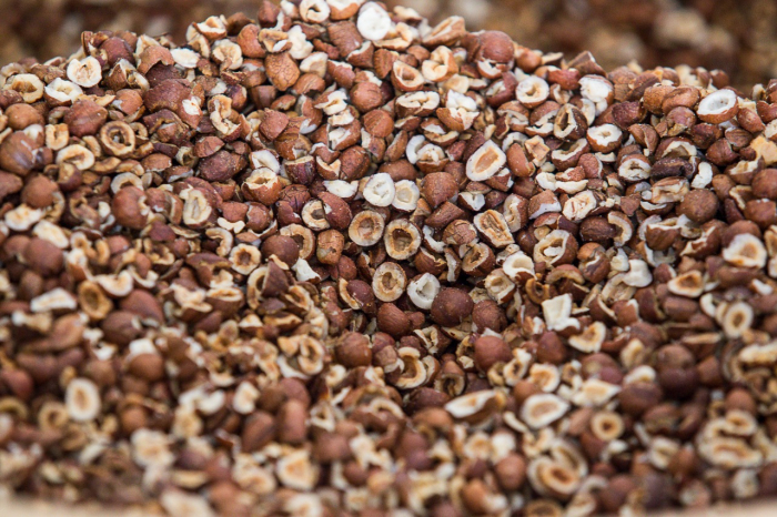 Parceria entre empreendimentos da agricultura familiar  incrementa renda e valoriza a produção do licuri  