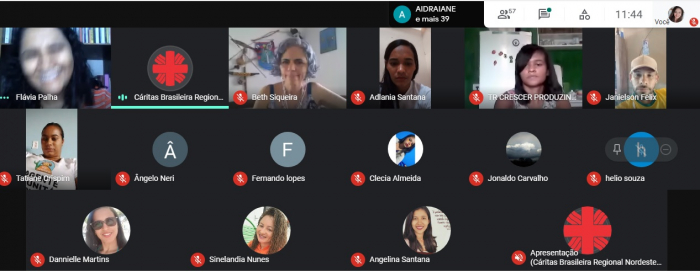 Equidade, igualdade, raça e gênero são temas centrais de debate durante oficina virtual com jovens rurais