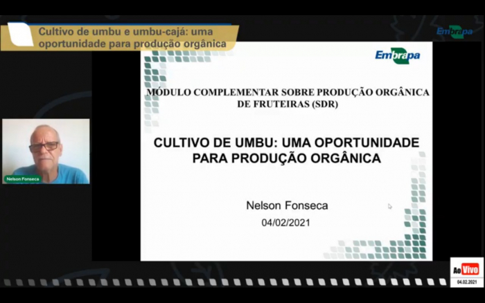Parceria entre Governo da Bahia e Embrapa promove Curso de Fruticultura Orgânica