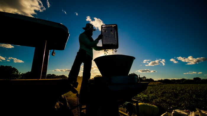 Revista apresenta como cooperativas da agricultura familiar baiana acessaram diversos segmentos de mercado