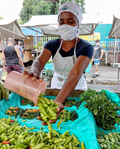 Entrega de kits na Feira do Produtor de Itabuna agrada feirantes e consumidores