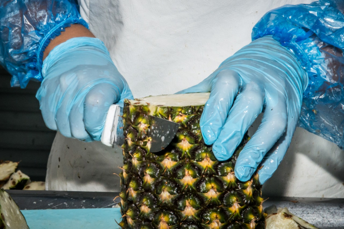 Dirigentes e equipe técnica da SDR conhecem experiências em Itaberaba voltadas ao desenvolvimento rural