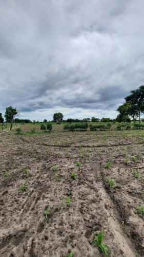 Apoio da assistência técnica garante acesso a outras políticas públicas