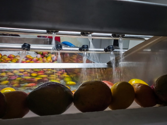 Acerola em polpa é aposta de cooperativa de Sobradinho para triplicar faturamento