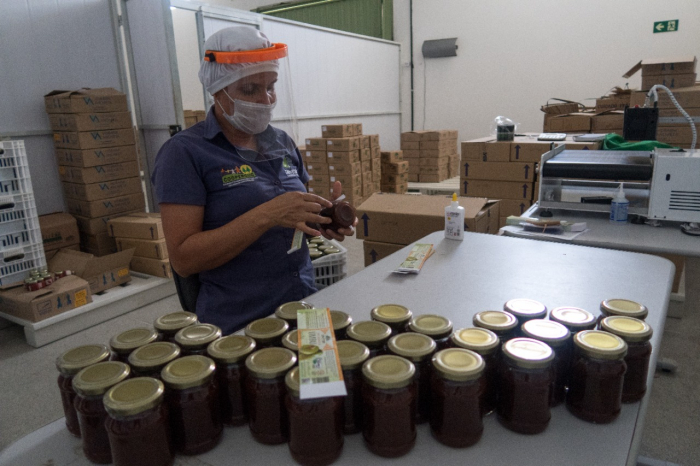 Produtos feitos com frutos da Caatinga geram renda para agricultores familiares
