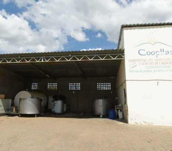 Investimentos do Governo do Estado aumentam em 22% faturamento de cooperativa de leite de Lagoa Real