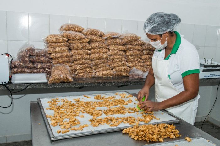 Cooperativa de Itaberaba dá início à colheita de abacaxi que promete ser a maior dos últimos 5 anos