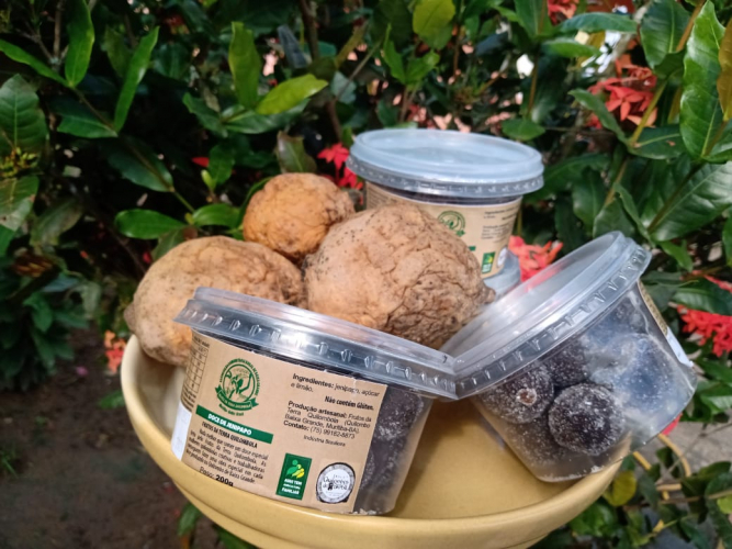 Mulheres rurais mostram o sabor e a força da agricultura familiar nas festas juninas