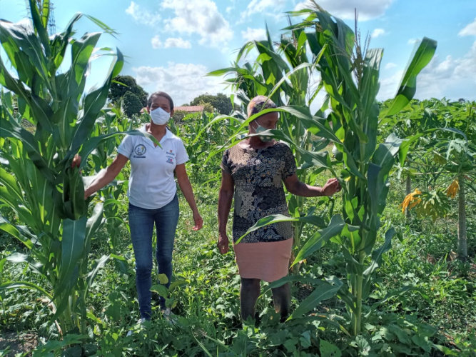 Mulheres rurais mostram o sabor e a força da agricultura familiar nas festas juninas