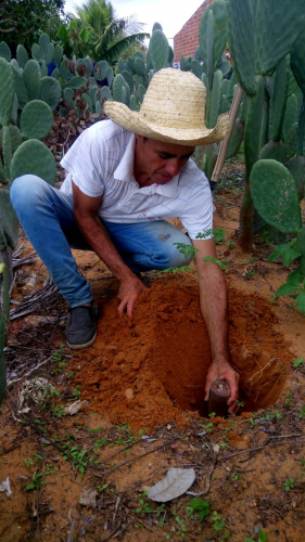 Agricultores e agricultoras familiares de comunidades rurais de Paulo Afonso passam a contar com viveiro de mudas