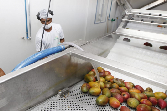 Sobradinho recebe agroindústria para processamento de duas mil toneladas de frutas por ano