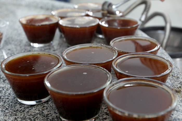 Café do sudoeste recebe R$ 5 milhões em investimentos através do programa Bahia Produtiva