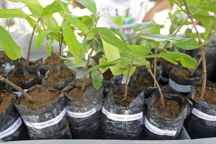 Foto: Mateus Pereira/GOVBA