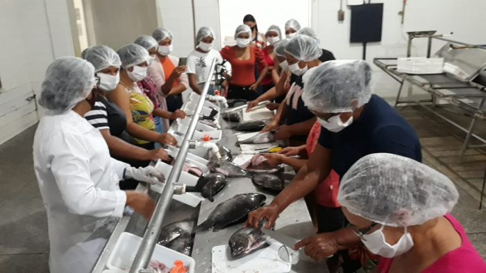 Pescadoras artesanais de Itiúba participam de oficina de beneficiamento de peixes