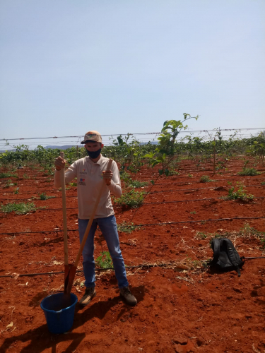 Análise de solo é utilizada para fortalecer a produção de agricultores familiares baianos