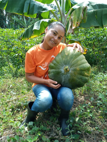Famílias indígenas de Pau Brasil começam a colher os frutos da produção agroecológica