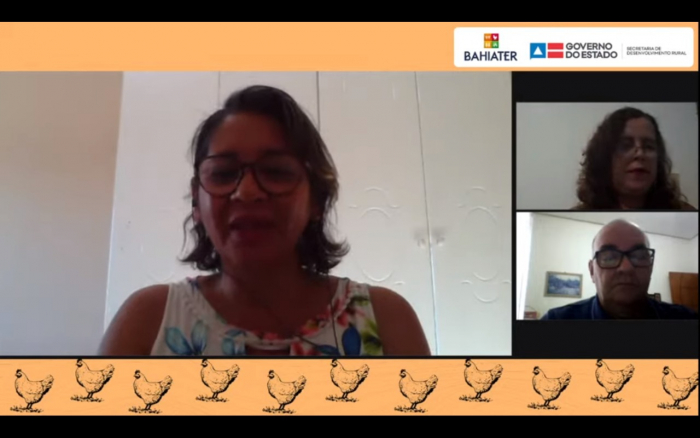 Planejamento e manejo na criação de galinha caipira para a agricultura familiar é tema de encontro virtual