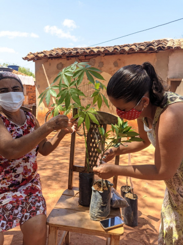 Agricultores familiares do Território Sertão Produtivo participam da ação Adote uma Árvore