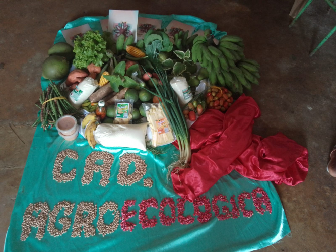 Mais de cinco mil mulheres rurais começam a utilizar as cadernetas agroecológicas