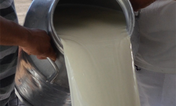 PAA Leite gera renda e muda a vida dos agricultores familiares de Jussara