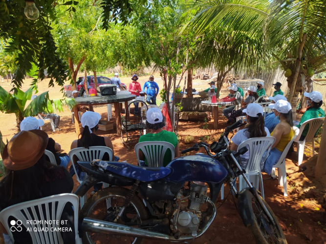 Produtores do Semiárido baiano aprendem como melhorar produtividade do rebanho de caprinos e ovinos