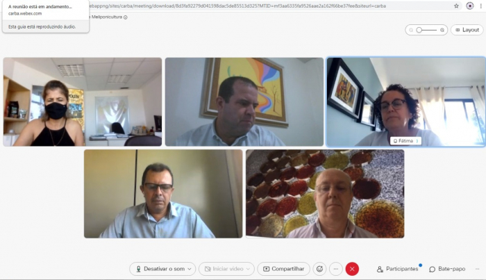 Reunião da Câmara Setorial de Apicultura e Meliponicultura discute combate à falsificação e adulteração do mel